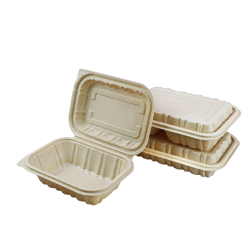 Planat Fiber Hinged Food Container US-606/607/608/801/802