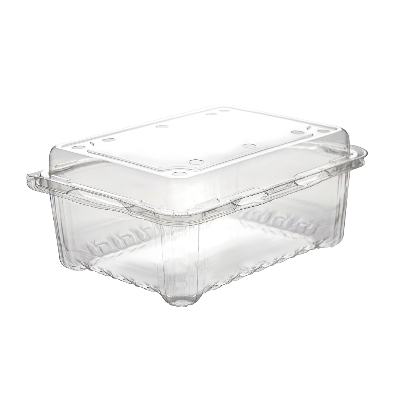 GZ-500M Disposable PET Fruits and Vegetables Container