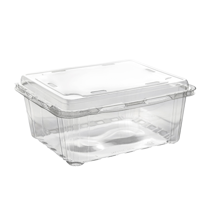 GZ-1000M3 Disposable PET Fruits and Vegetables Container