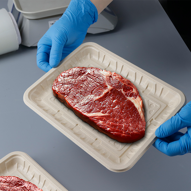 Multi-size Eco-friendly Biodegradable Natural Microwaveable Processor Tray GZ-4S