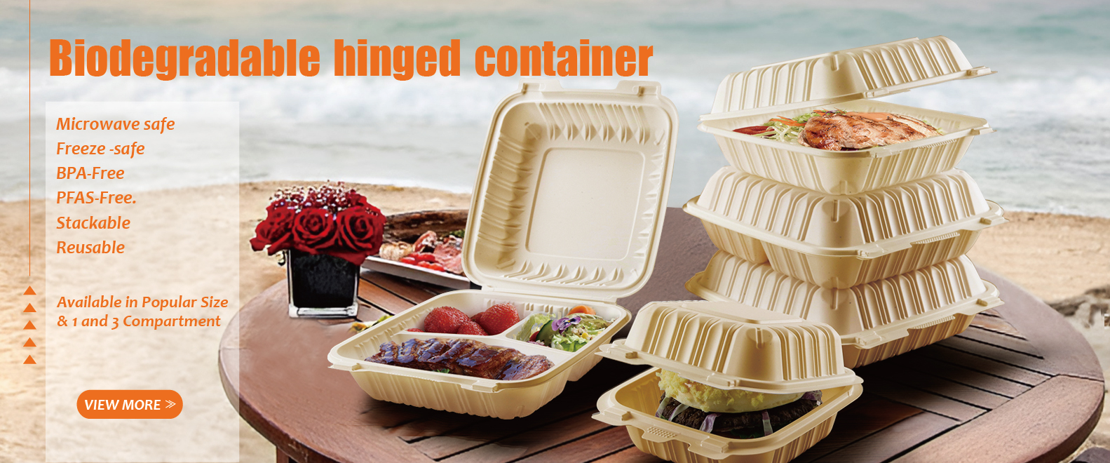 GuanZhan-Disposable Food Containers