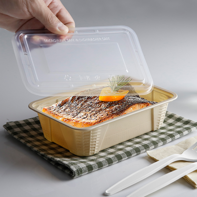 17oz.biodegradable Natural Container 168×113×43mm-300/case PF650