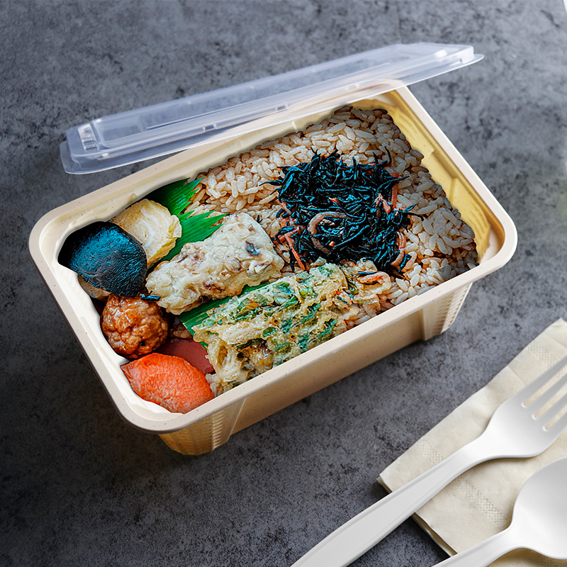 26oz.biodegradable Natural Container 168×113×62mm-300/case PF1000